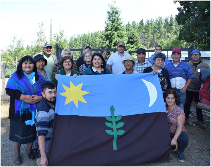 Comunidades Mapuche Williche paralizan indefinidamente faenas forestales en Osorno