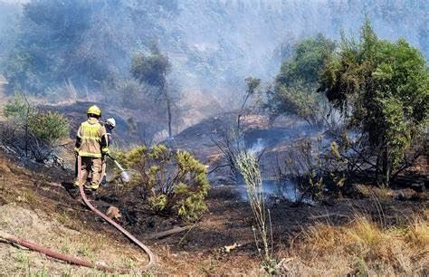 Bomberos y Conaf advierten que «claramente hay intencionalidad» en incendios forestales
