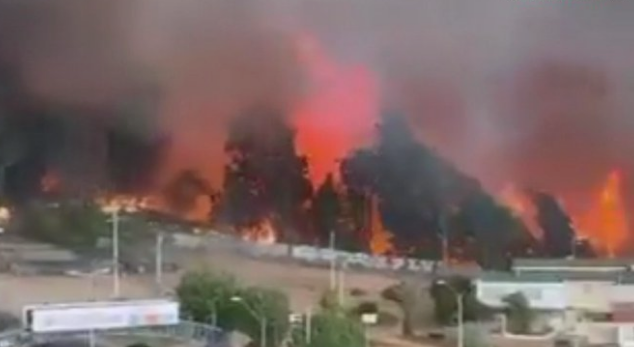 Bomberos confirmó que Jardín Botánico de Viña del Mar se quemó por completo