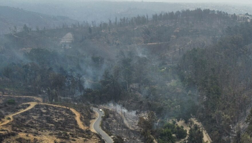 Fiscalía decide no formalizar a dos detenidos sospechosos de iniciar fuego en Viña del Mar y quedan en libertad