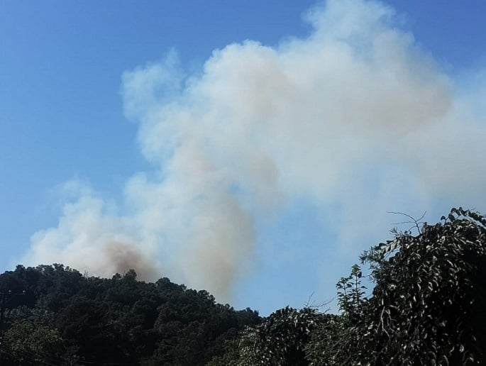 Monumento Natural Cerro Ñielol en riesgo por incendios: Segundo día de alerta en Temuco