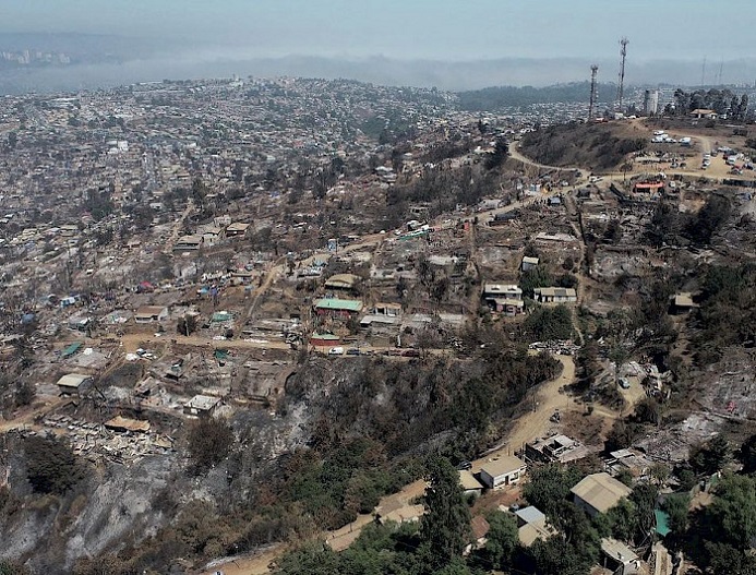 Estudio revela que el 34% de la superficie de Viña del Mar fue arrasada por incendio forestal