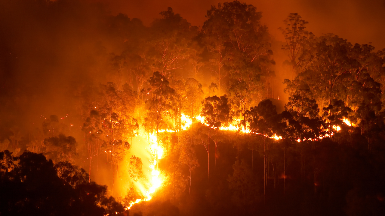 En Valparaíso, Quilpué y San Antonio: Los incendios forestales que terminaron en proyectos inmobiliarios