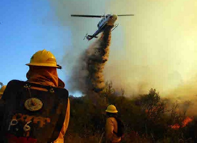 Alerta roja en comunas de la Araucanía: Incendios forestales obligó a evacuaciones en sectores de Purén y Victoria