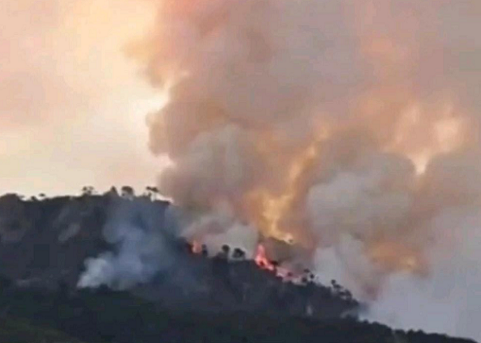 Incendio fuera de control en Lonquimay: siniestro arrasa bosque nativo cordillerano y amenaza viviendas