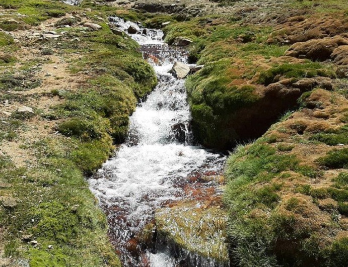 ¿Lavado de imagen? Anglo American adquiere la totalidad de un Santuario de la Naturaleza en Lo Barnechea para “conservación”