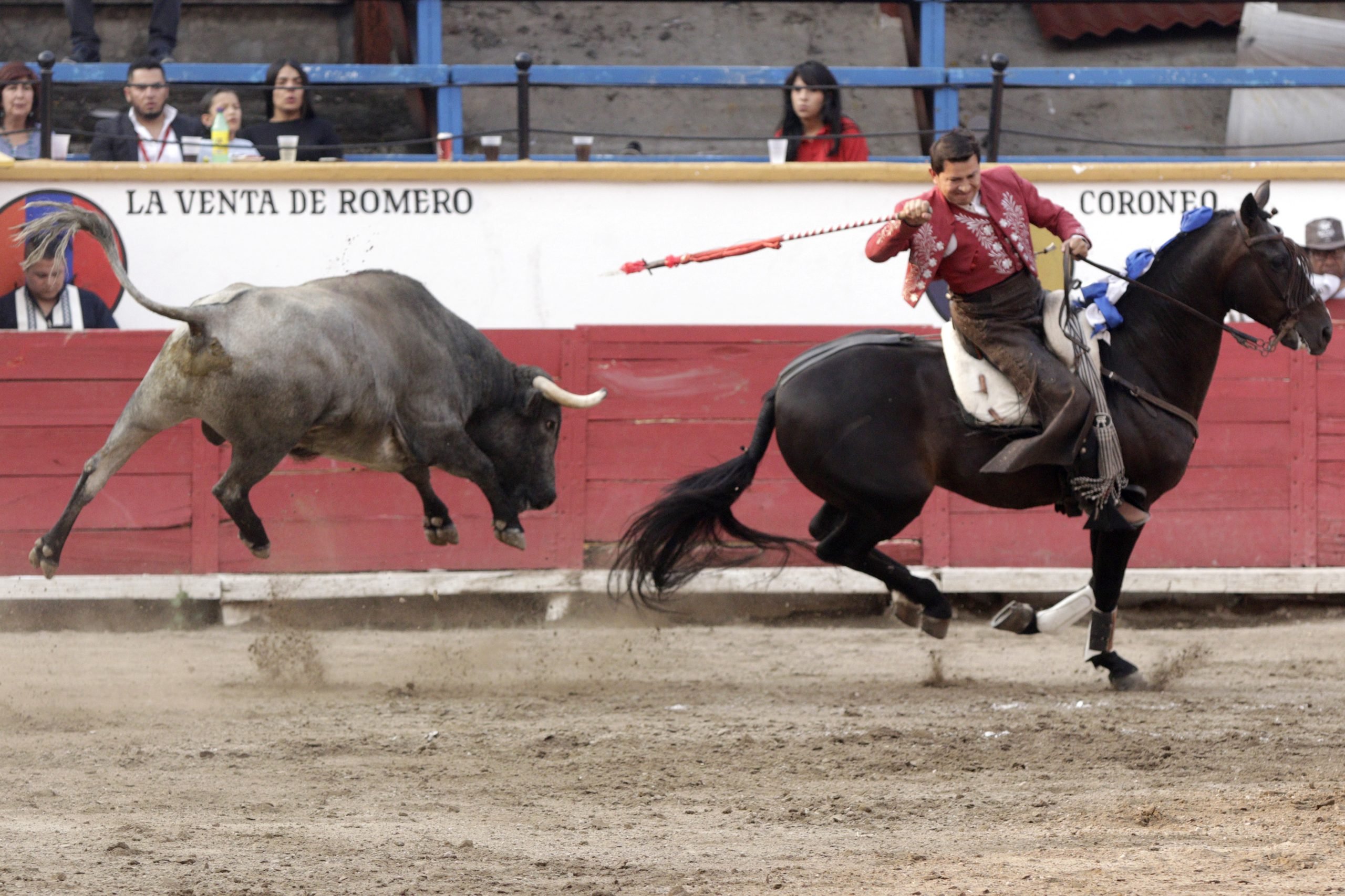 Tras lucha de 10 años, activistas celebran prohibición de corridas de toros