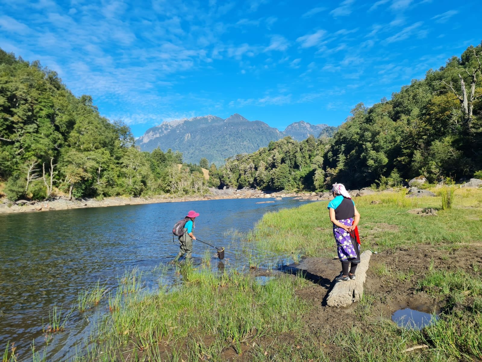 Epu Lafken Mapu: Colectivo de científicos y familias mapuche-huilliche da a conocer estudio intercultural sobre el agua en los ríos Maihue y Ranco