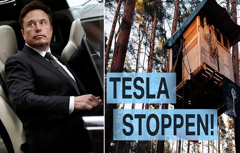 Campamento de protesta en Alemania  contra proyecto Tesla de Elon Musk  enfrenta amenaza de desalojo