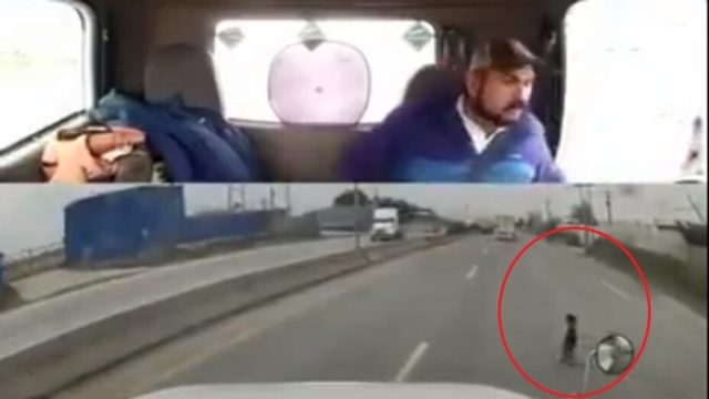 ¡Héroe sin capa! trailero rescata a niño de ser arrollado en carretera | Video