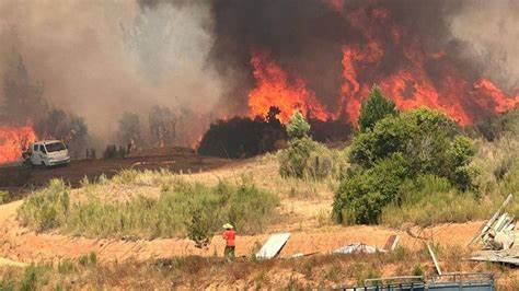 Ley de Incendios: Gobierno buscará que el Senado apruebe norma que limita el cambio de uso de suelo