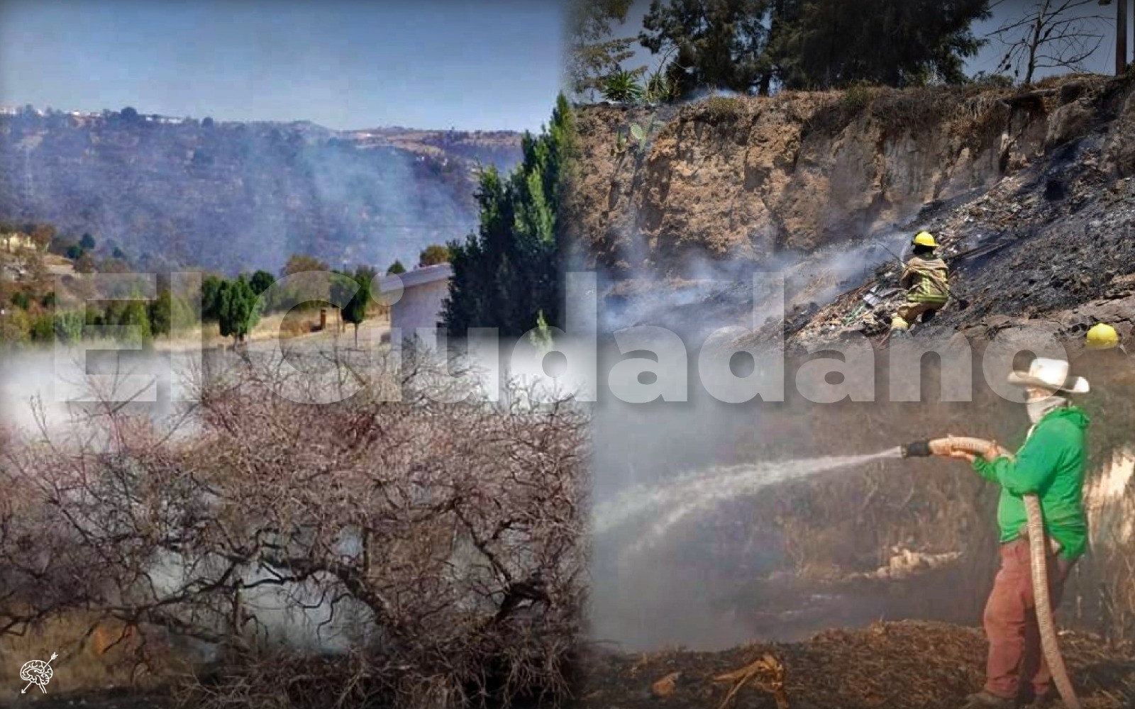 Reportan nuevo incendio forestal provocado en La Calera