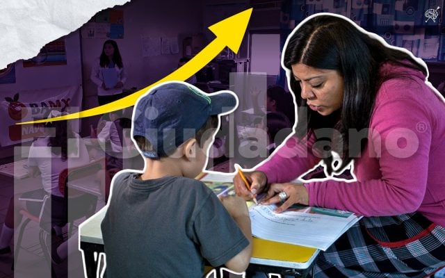 Mujeres lideran docencia y atención social: Observatorio laboral