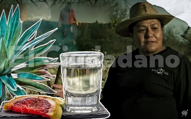 Maricarmen González destila arte y respeto en cada gota de mezcal