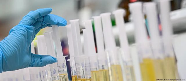 Chile busca innovar el uso de orina humana para crear fertilizante