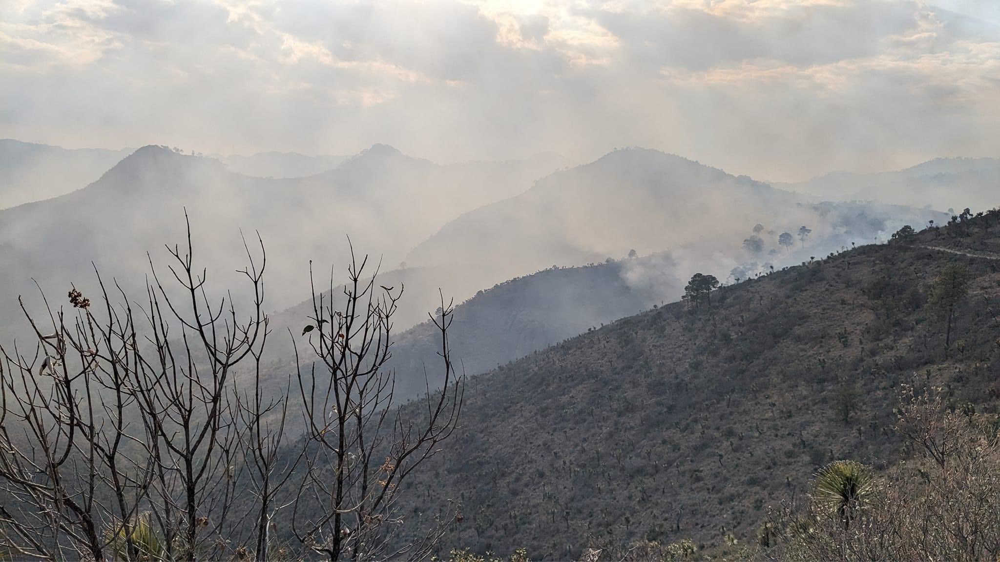 Medio ambiente anuncia control total de incendio forestal en Libres