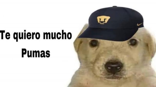 Memes celebran la victoria de Pumas ante América en el Clásico Capitalino