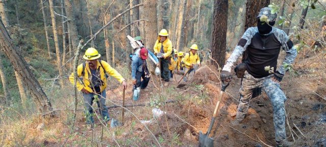 Incendio forestal en Ixtacamaxtitlán y Ocotepec al 70% de control