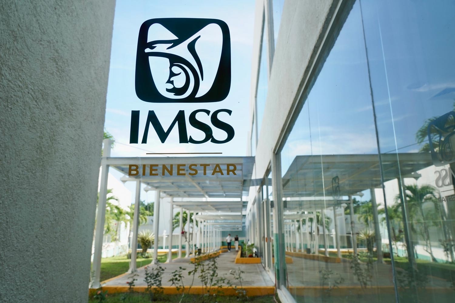 Convocatoria del IMSS para médicos genera gran interés