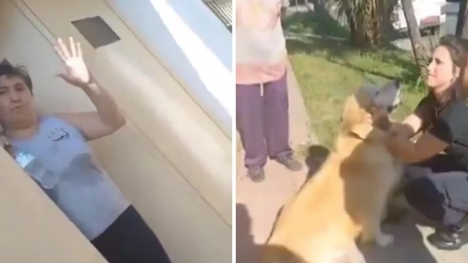 Mujer lleva a su perro a carnicería para que lo sacrifiquen y lo pueda comer