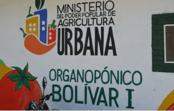 Agricultura urbana en el corazón de Caracas: conversación con Glenda Vivas