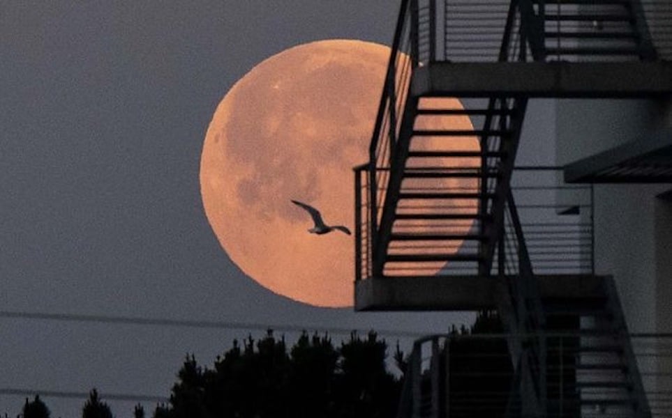 ¡Hoy será la Luna Rosa! No te pierdas este bello fenómeno