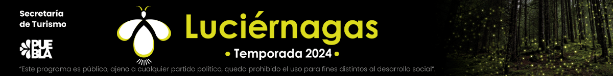 TEMPORADA DE LUCIÉRNAGAS Puebla 2024