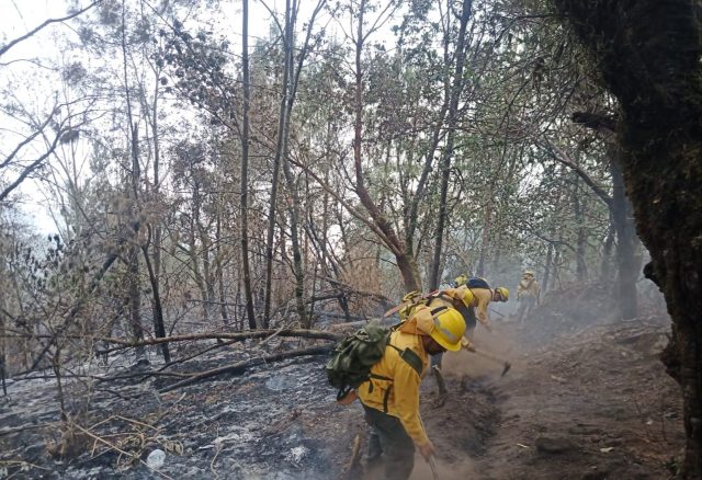 Incrementan incendios forestales durante última semana de mayo en la entidad