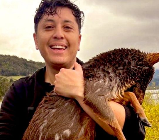 Joven chilote realiza heroico rescate para salvar a pudú de ser depredado por perros en Lago Huillinco