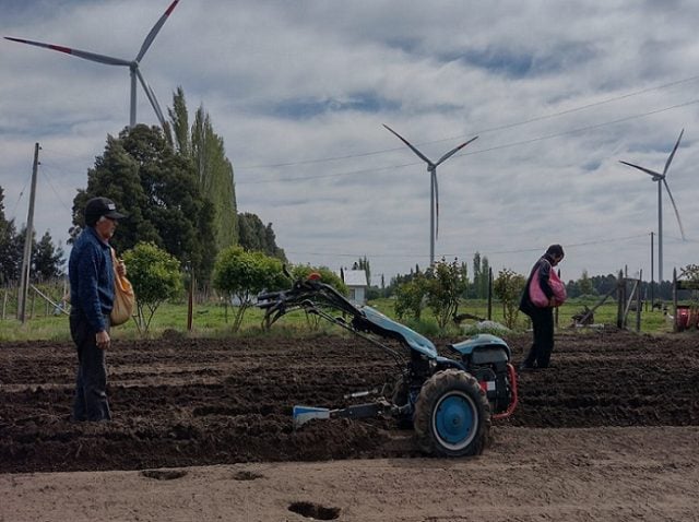 Megaparques eólicos: La tragedia oculta bajo las aspas de la “energía renovable”