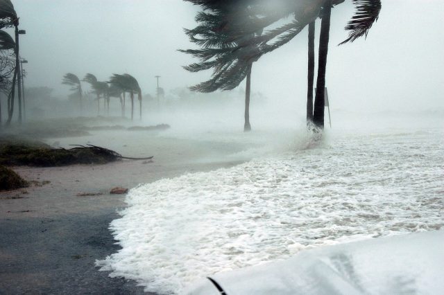 ¿Dónde podría tocar tierra el huracán Beryl y cuál es su trayectoria?