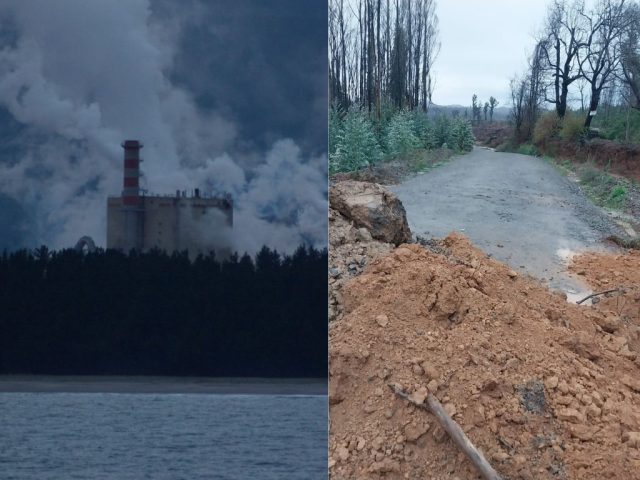 Acusan a Forestal Arauco, del Grupo Angelini, por bloquear centenario camino comunitario