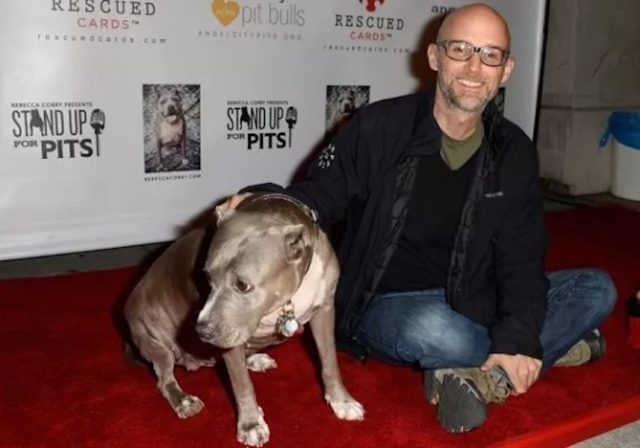 Moby enfoca su vida laboral en la defensa de los animales