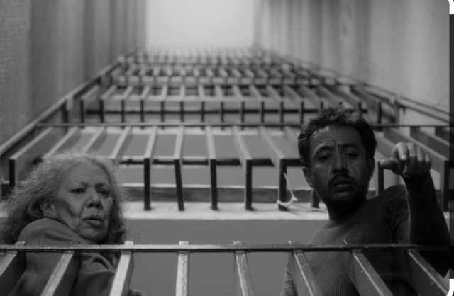 Triunfa «No nos moverán» en el Festival de Cine de Guadalajara
