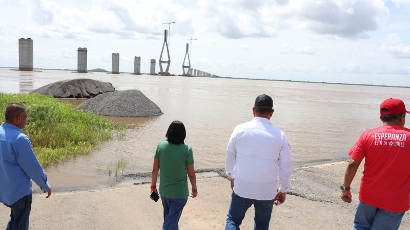 Puente-vicepresidenta