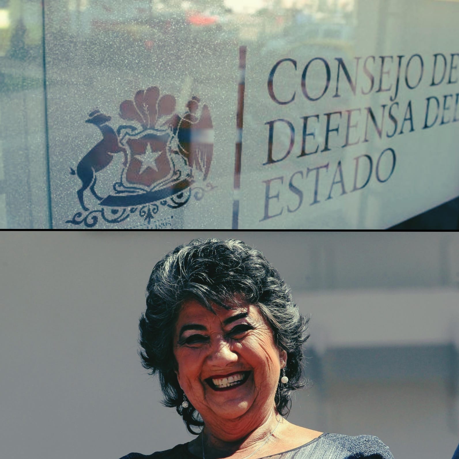 Confirmado: Consejo de Defensa del Estado aún no se ha hecho parte en ...