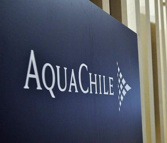 Sobreproducción salmonera en Reserva Nacional Kawésqar: Inician proceso sancionatorio contra AquaChile