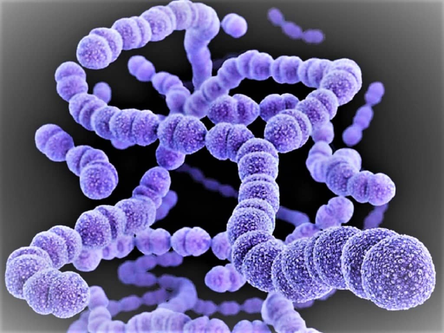 Chile: Alerta por «bacteria asesina» que puede agravar los casos de influenza