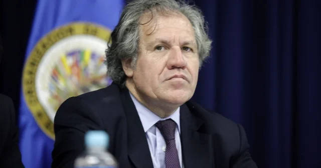 Sin consenso: OEA no logra aprobar resolución para «exigir» a Venezuela publicación de actas