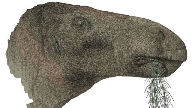 Revelan nueva especie de dinosaurio herbívoro en Reino Unido