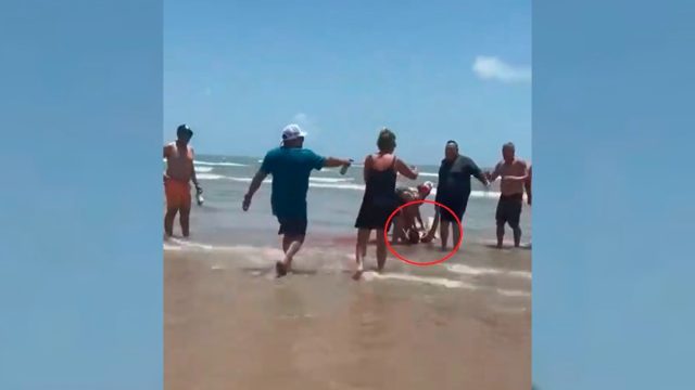 Ataque de tiburón en Texas deja tres personas heridas | Video