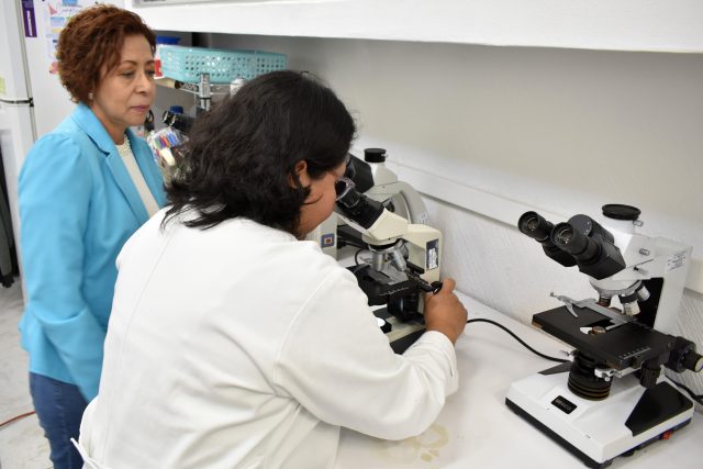 BUAP estudia cómo el pápalo y la pipicha combaten bacterias clínicas peligrosas