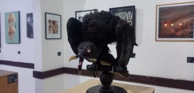 Inauguran la muestra gráfica colectiva «Ars Moriendi», en la Galería «La Casona de los Santos», Puebla