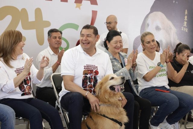 Nombran titular de Centro de Seres Sintientes, nueva dependencia para el rescate y protección de animales