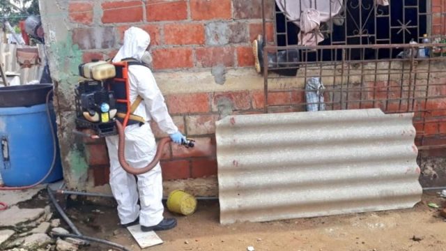 Avance alarmante del dengue en México: más de 110,000 casos y 262 fallecimientos en 2024