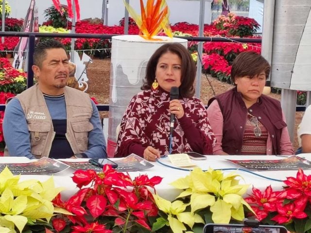 Impulsan en el Congreso temporada de flor de Nochebuena, en el municipio de Atlixco