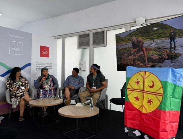 Pueblos originarios denunciaron en la COP 16 discriminación del Estado chileno en aplicación de Ley Lafkenche
