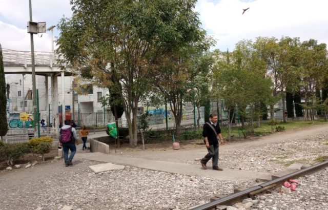 Localizan dos supuestos cadáveres en una fosa clandestina en San Antonio Abad
