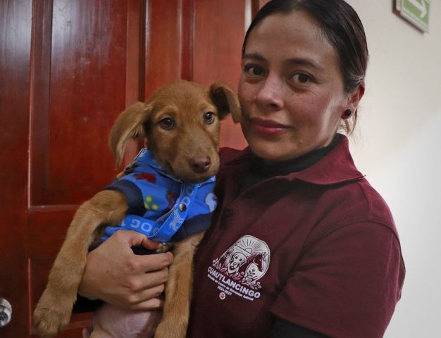 Cuautlancingo «da voz» a las necesidades de bienestar de los animales durante foro