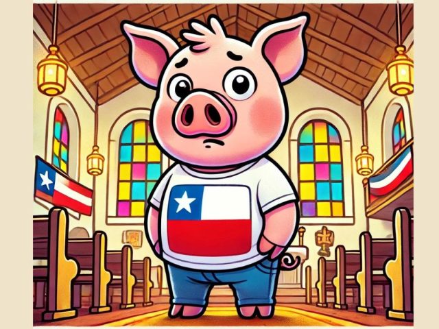 50 frases chilenas que todo extranjero debería conocer para no quedar «como chancho en misa»